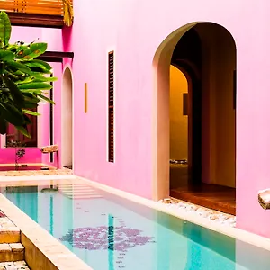 Rosas & Xocolate Boutique And Merida, A Member Of Design Merida